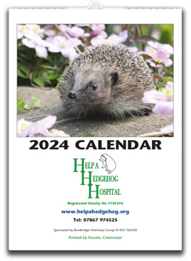 Help A Hedgehog Hospital - 2024 Calendar